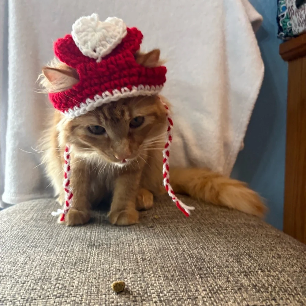 Handmade Red & White Crochet Cat Hat - Pet Costume Valentine’s heart